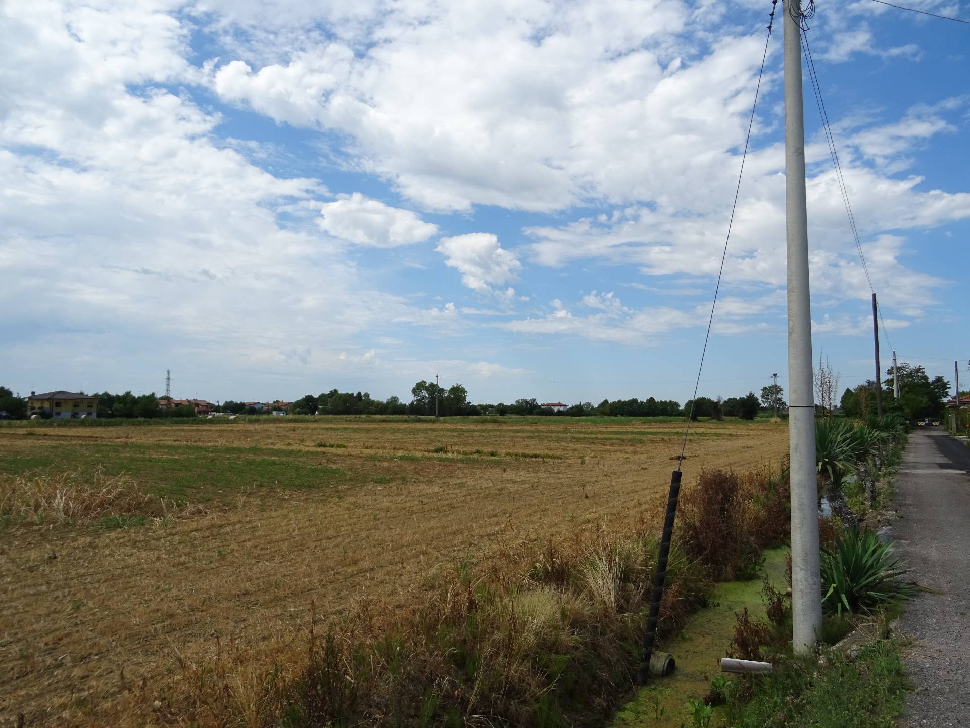 Terreno Agricolo in vendita a Carlino
