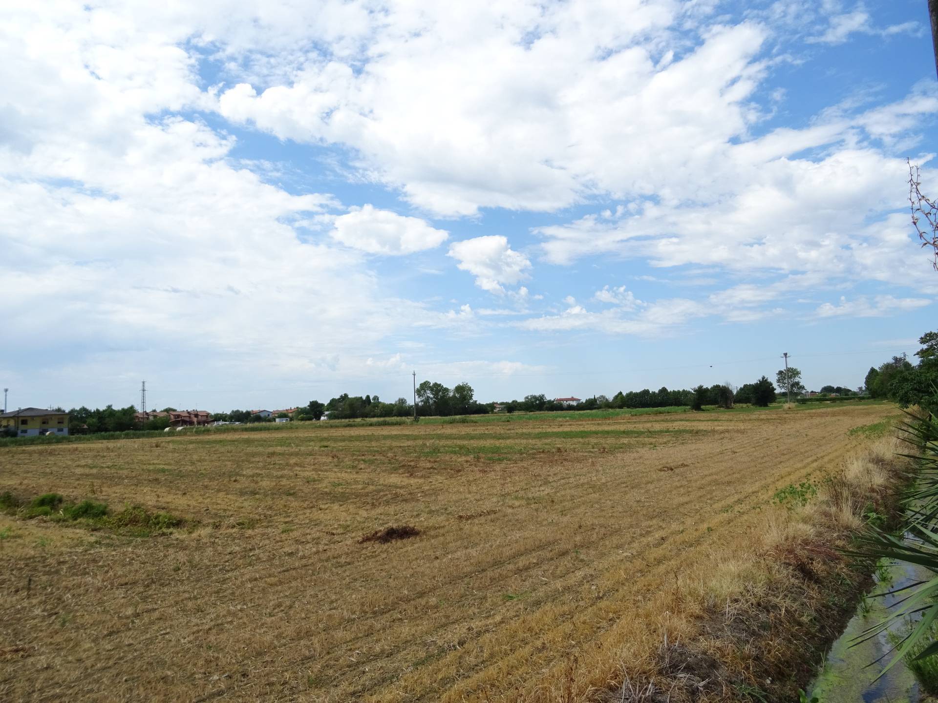 Terreno Agricolo in vendita a Carlino