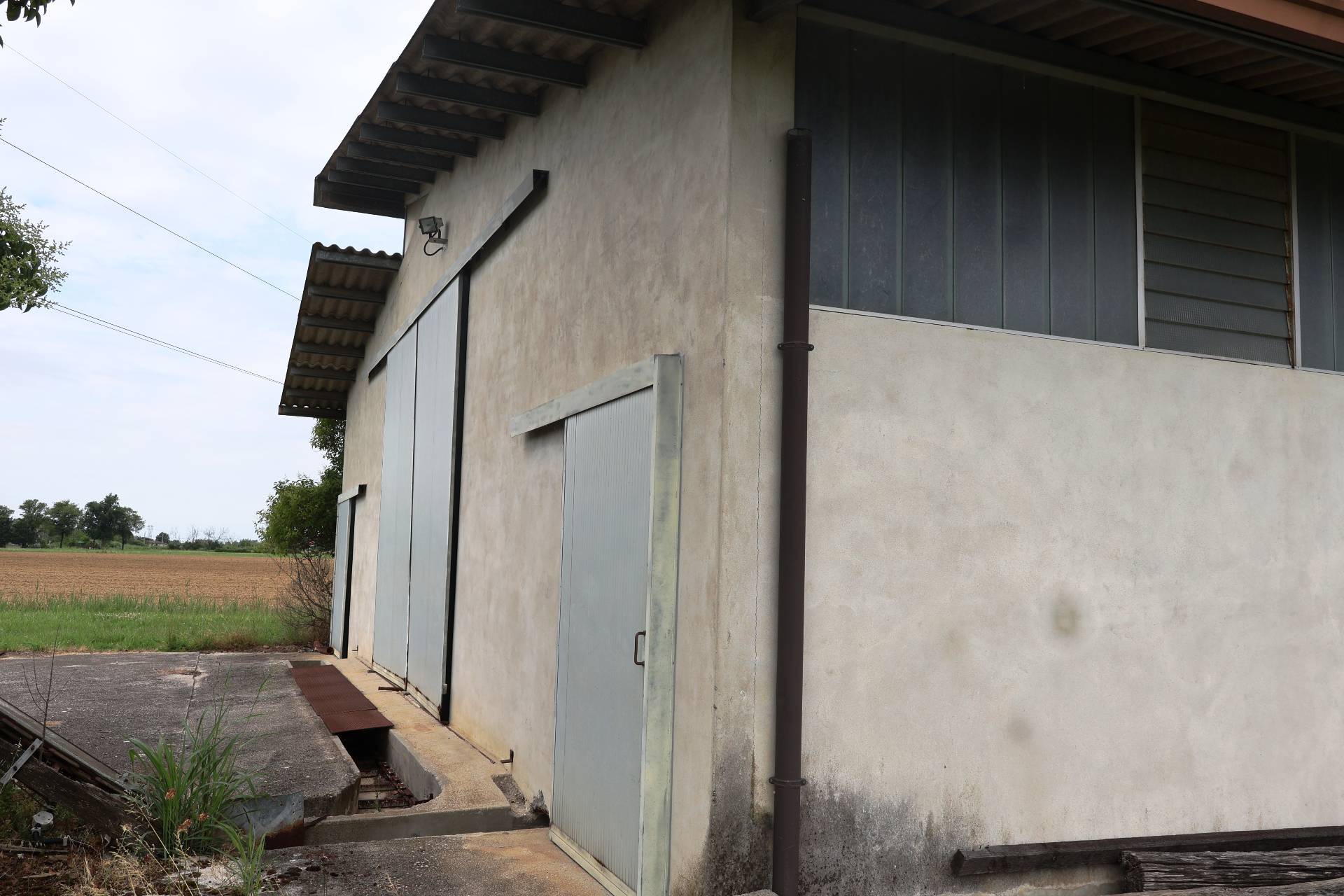 Terreno Agricolo in vendita a San Giorgio di Nogaro