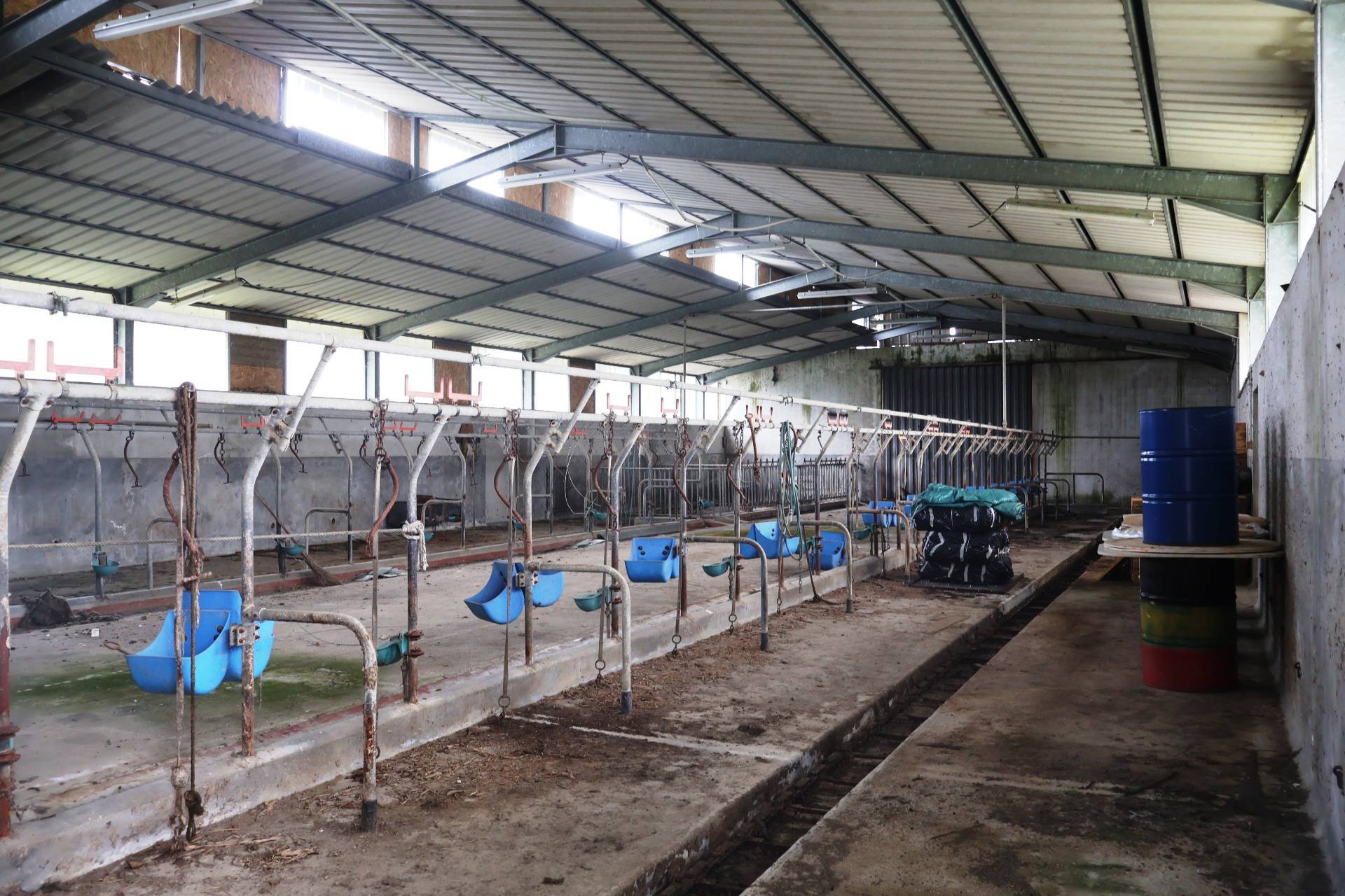 Terreno Agricolo in vendita a San Giorgio di Nogaro