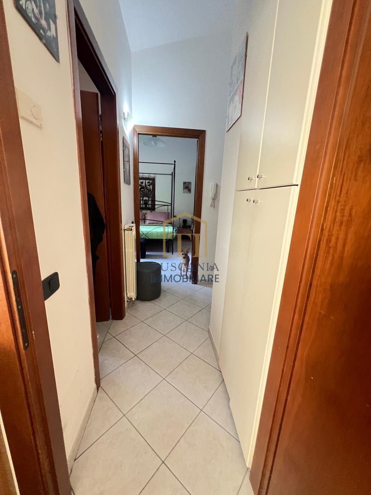 immagine annuncio 4 di 6