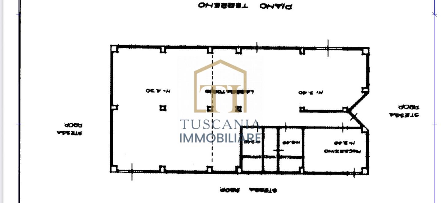 Capannone in affitto a Colle di Val d'Elsa