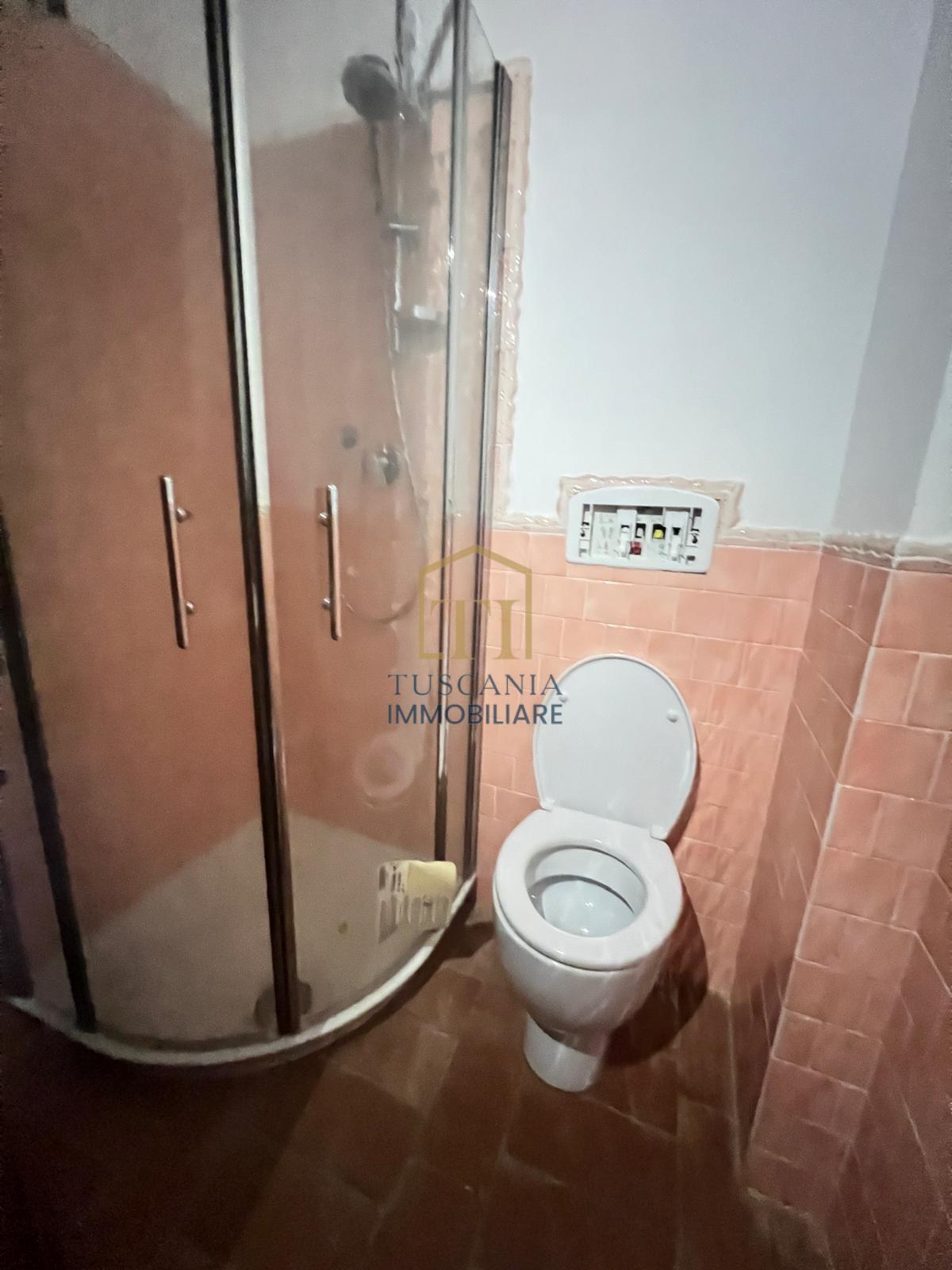 Quadrilocale con giardino, Colle di Val d'Elsa campiglia