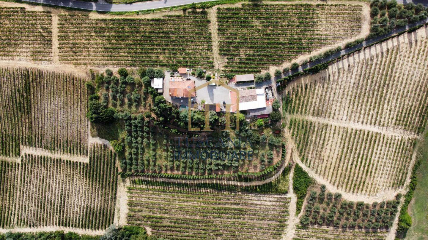 Attivit� commerciale in vendita, San Gimignano san benedetto