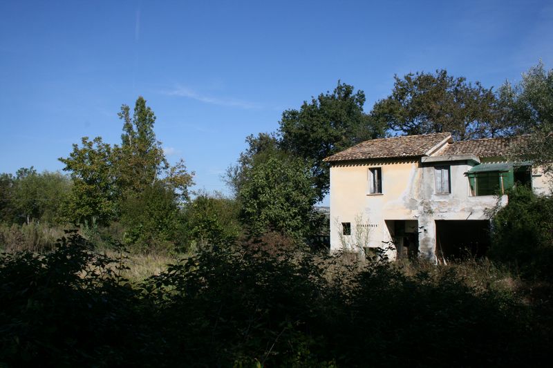 immagine annuncio 2 di 6