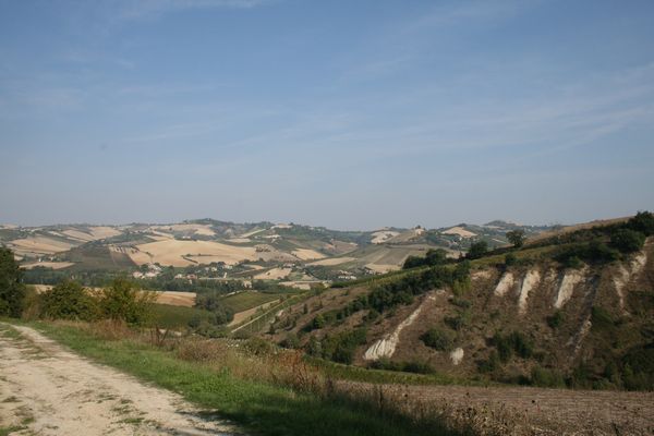 Rustico in vendita a Offida