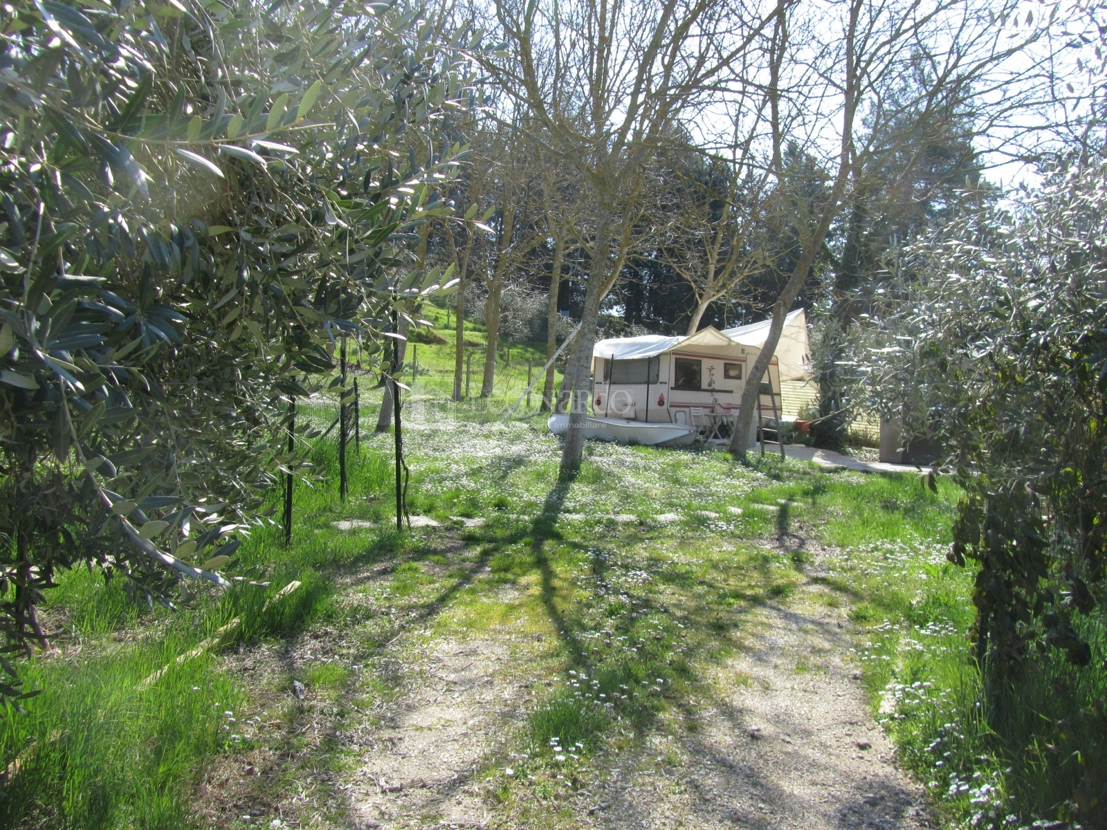 Terreno Agricolo in vendita a Monsampolo del Tronto