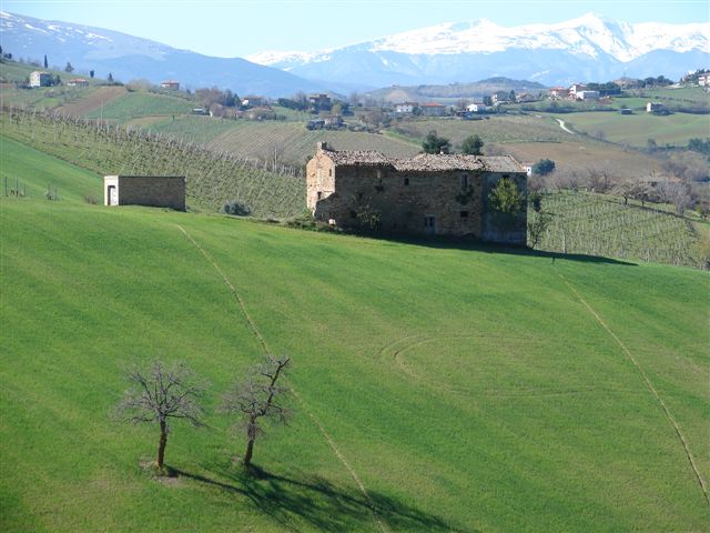 Rustico in vendita a Ripatransone