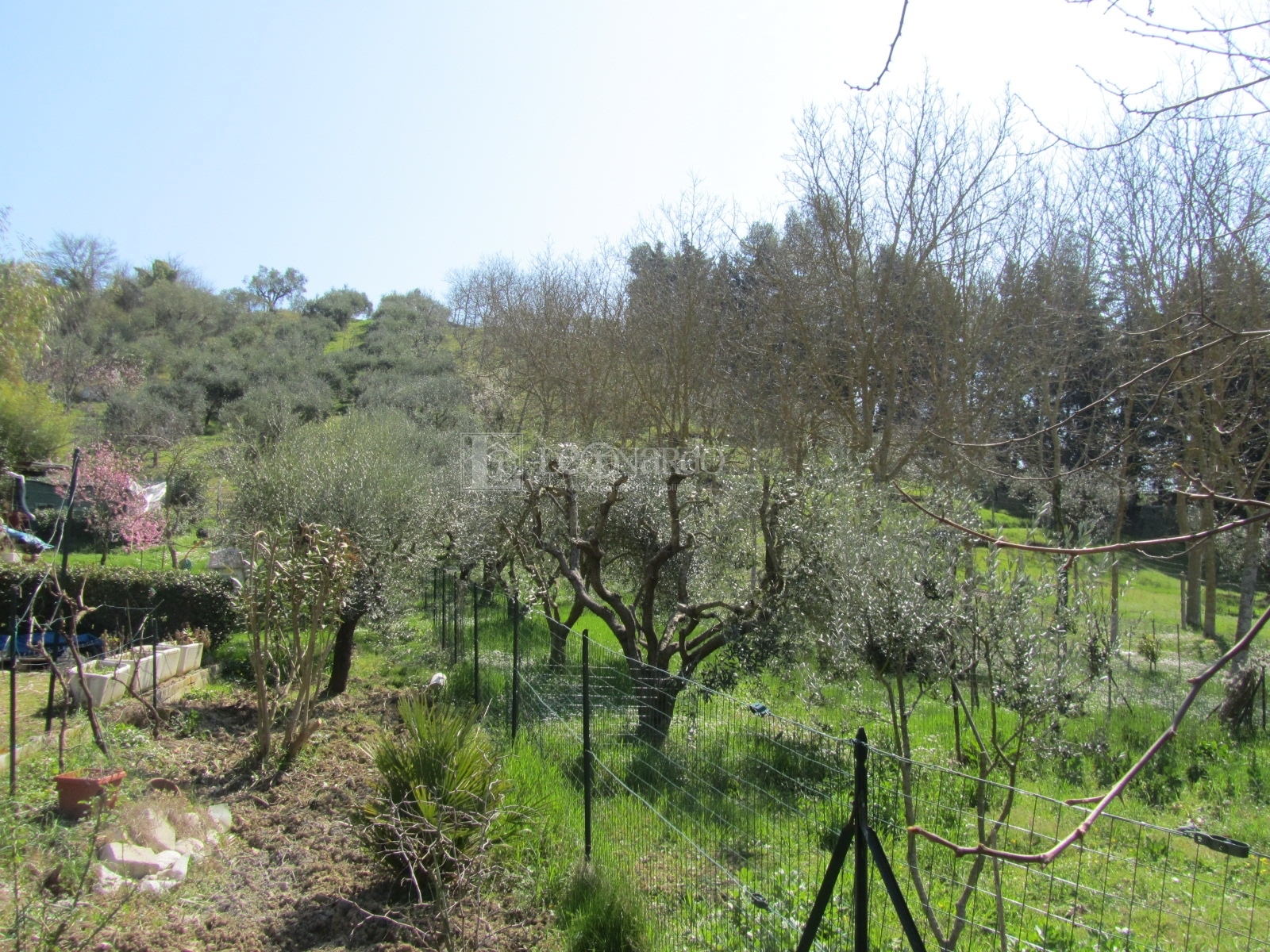 immagine annuncio 2 di 4