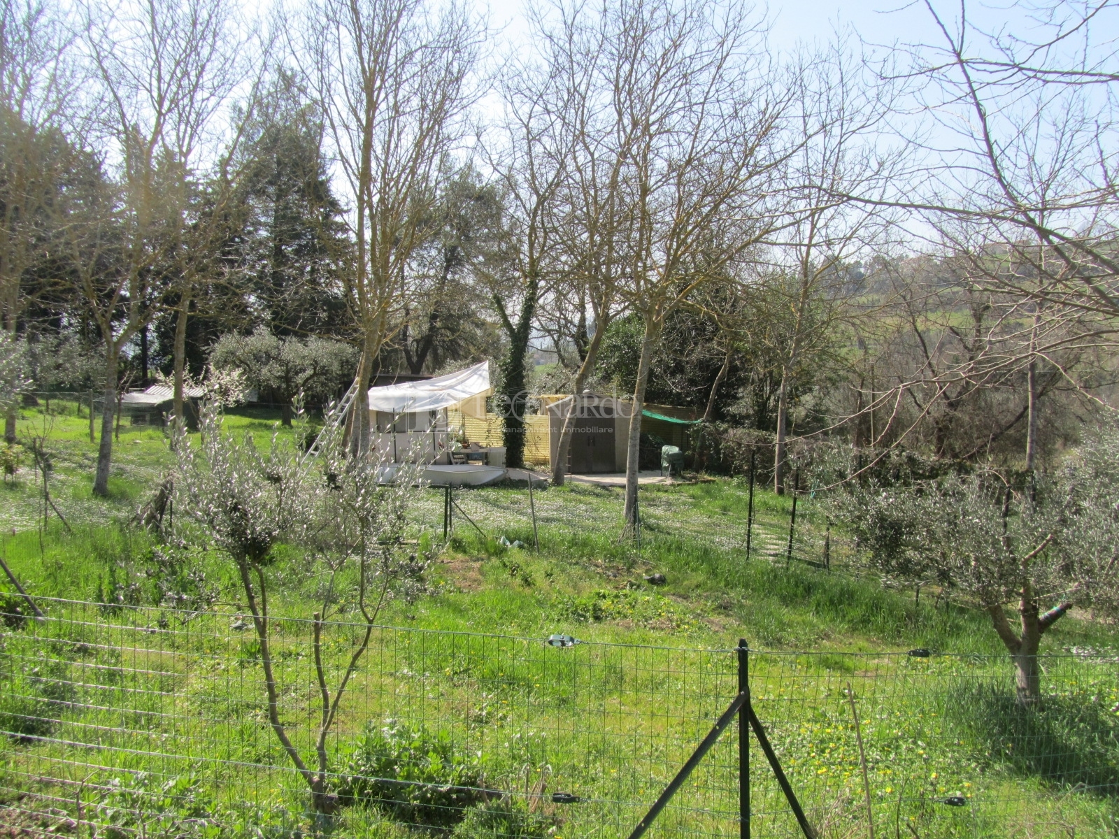 immagine annuncio 3 di 4