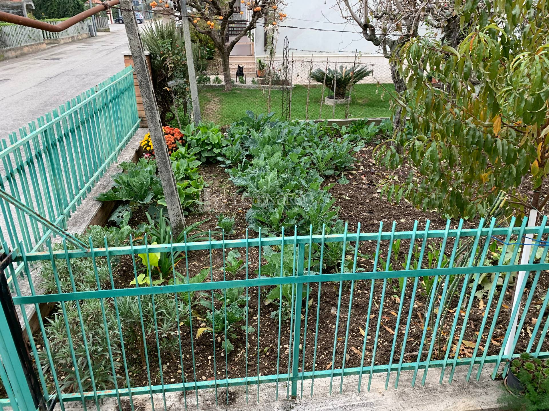 Casa indipendente in vendita a Sant'Egidio alla Vibrata