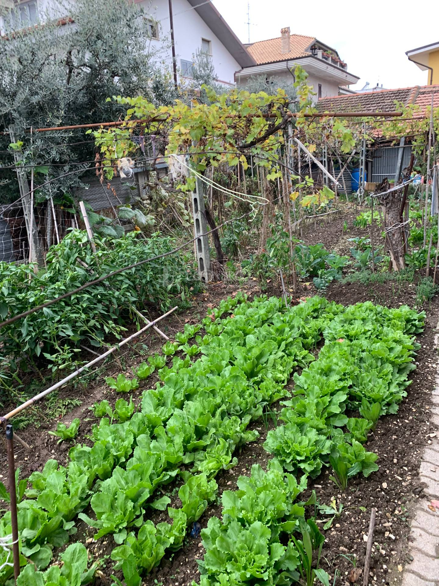 Casa indipendente in vendita a Sant'Egidio alla Vibrata