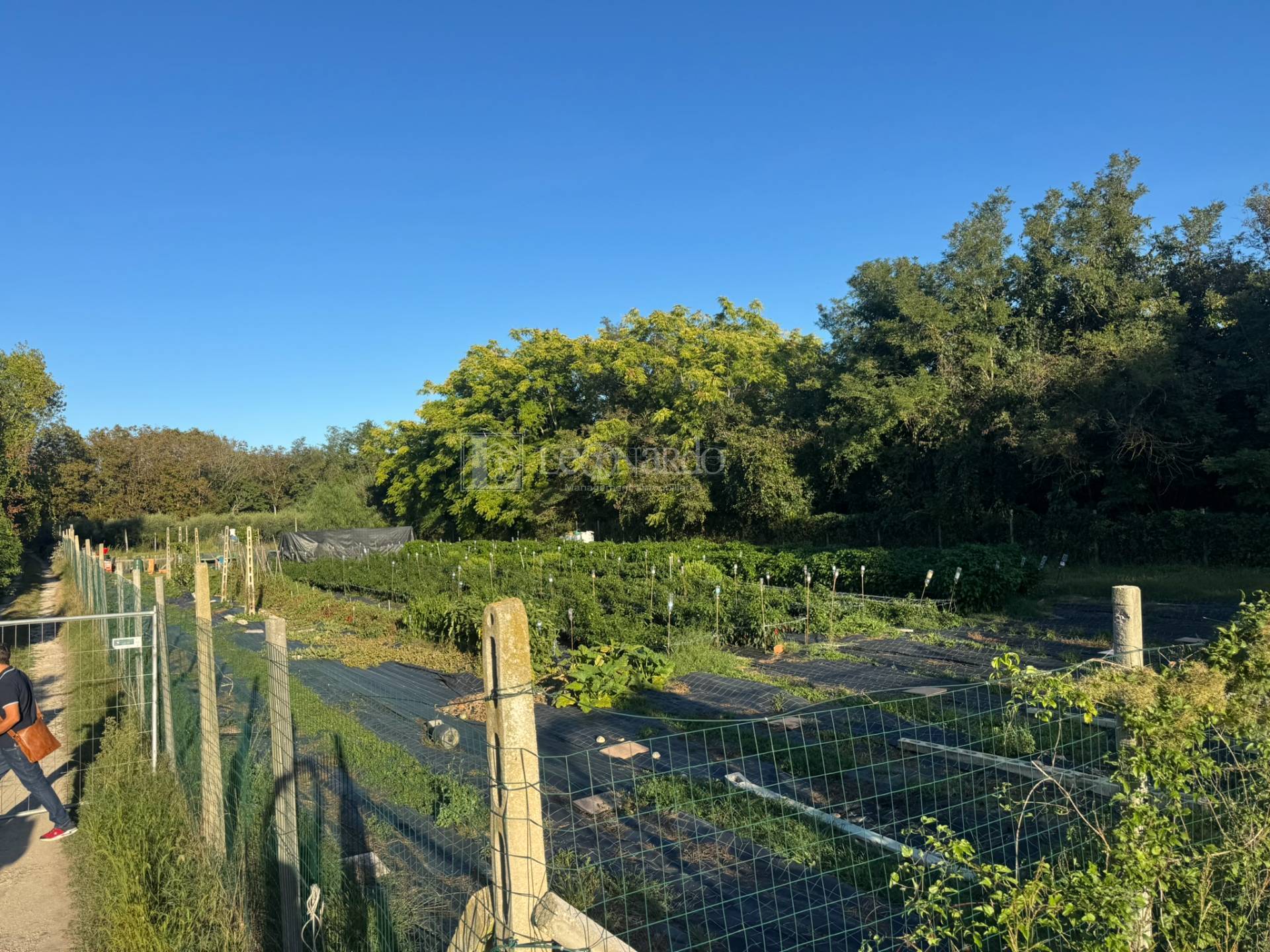 Terreno Agricolo in vendita a Spinetoli, Periferia