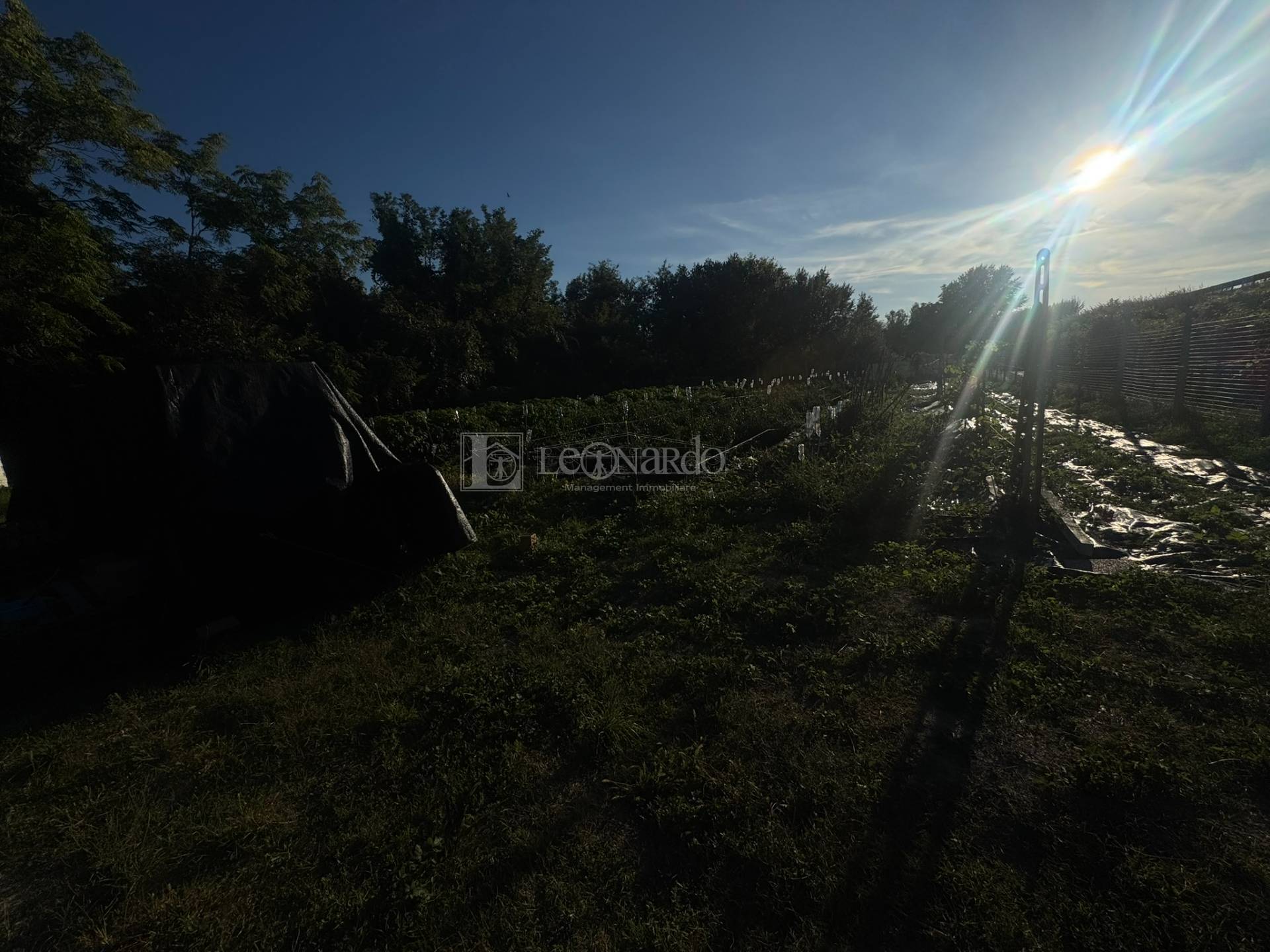 Terreno Agricolo in vendita a Spinetoli, Periferia