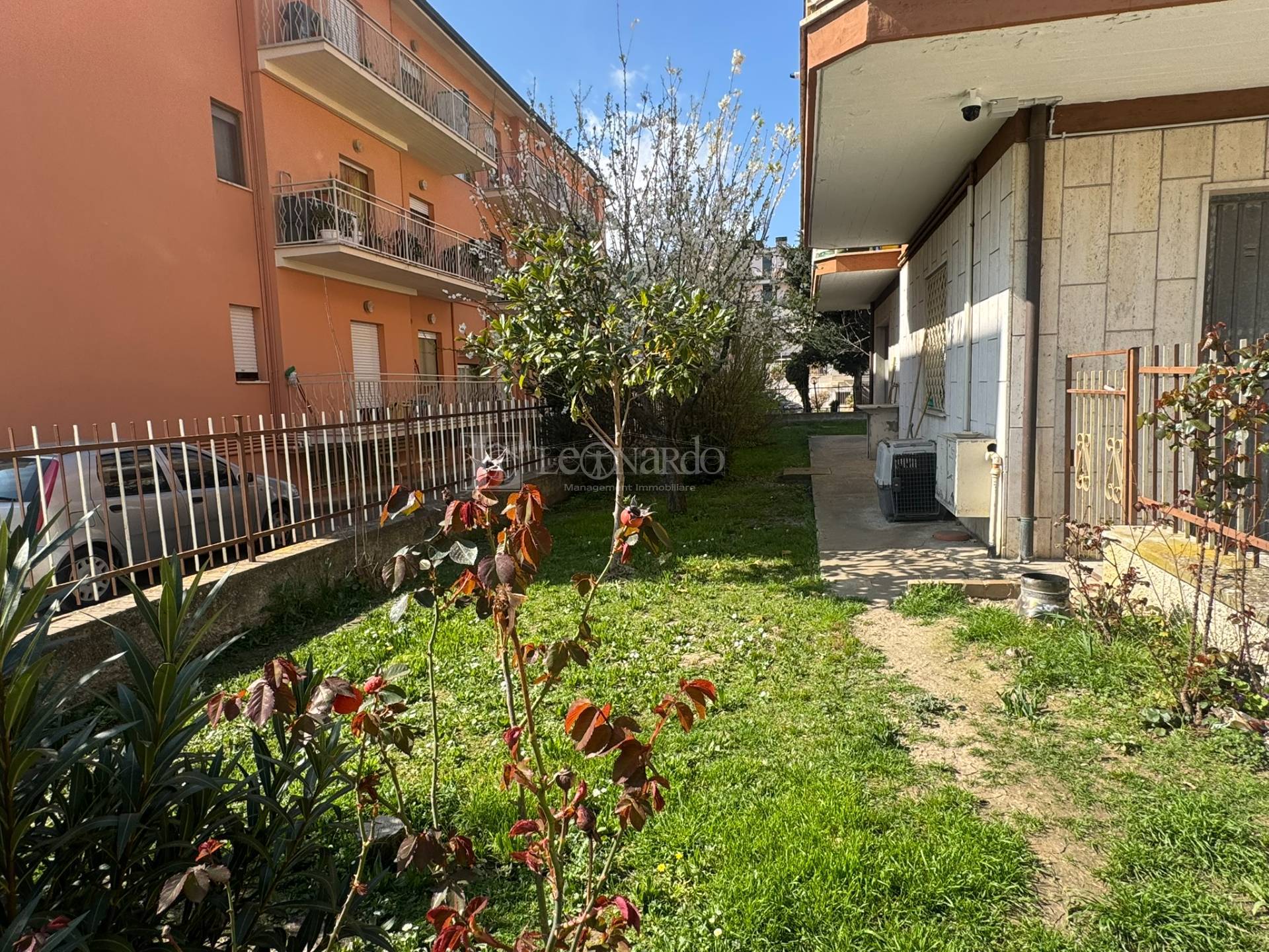 immagine annuncio 5 di 10