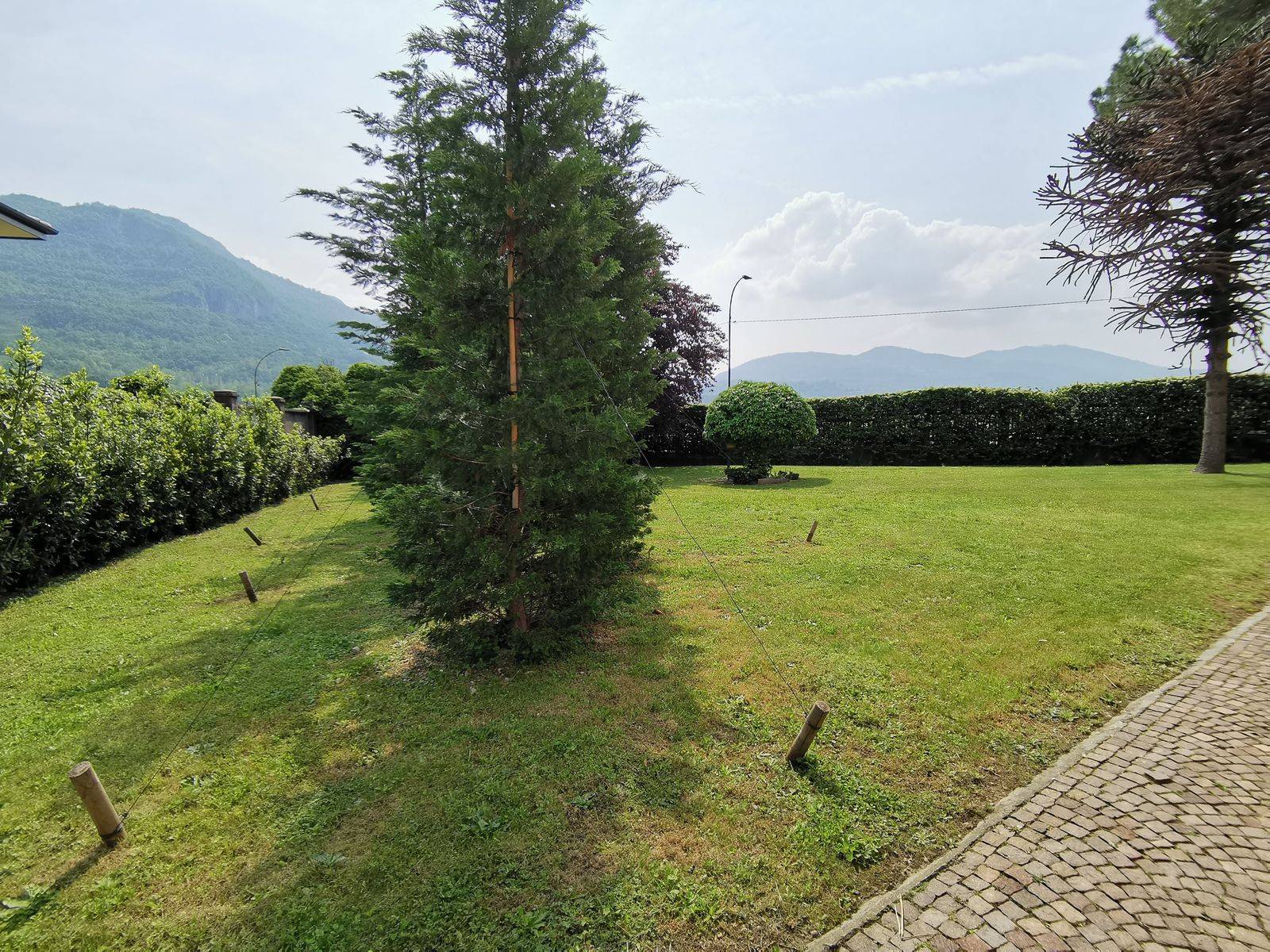 immagine annuncio 3 di 6