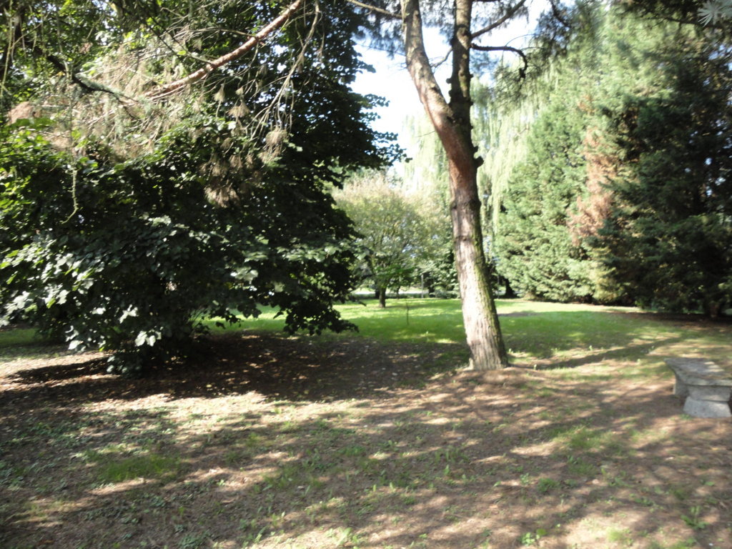 Casa / Villa / Villetta in vendita a Ferrara, Monestirolo