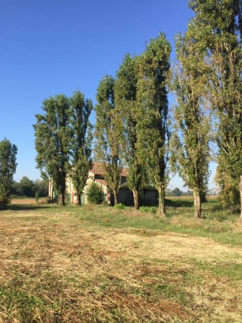 Casa / Villa / Villetta in vendita a Ferrara, Baura