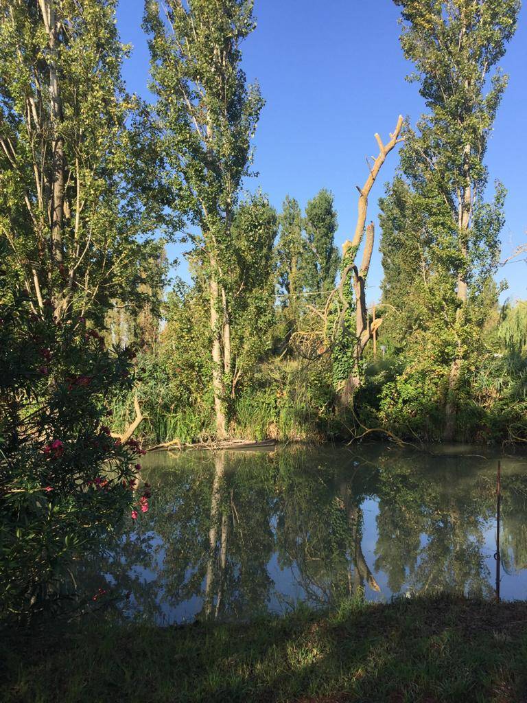 Casa / Villa / Villetta in vendita a Ferrara, Baura