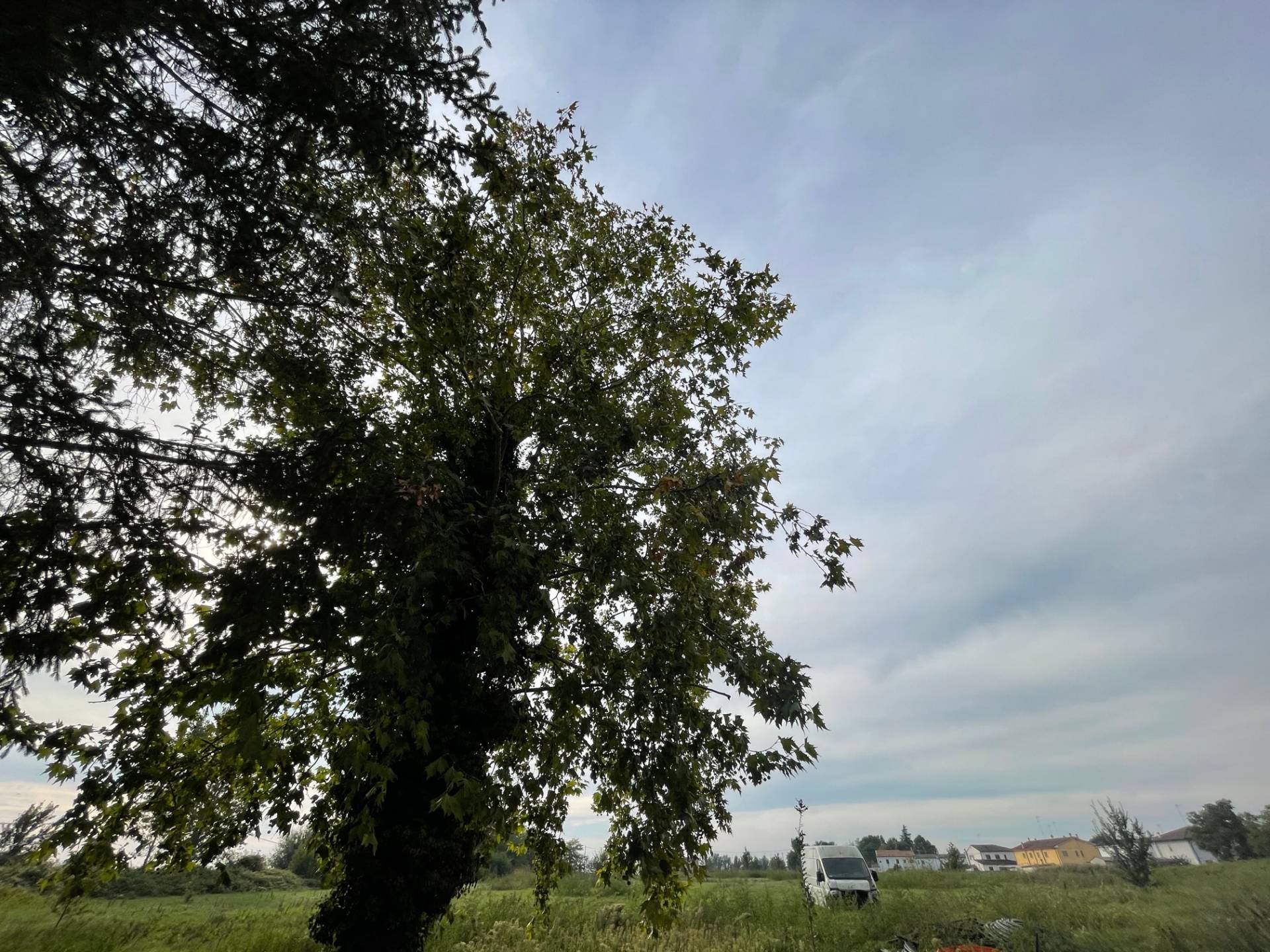 Casa / Villa / Villetta in vendita a Riva del Po