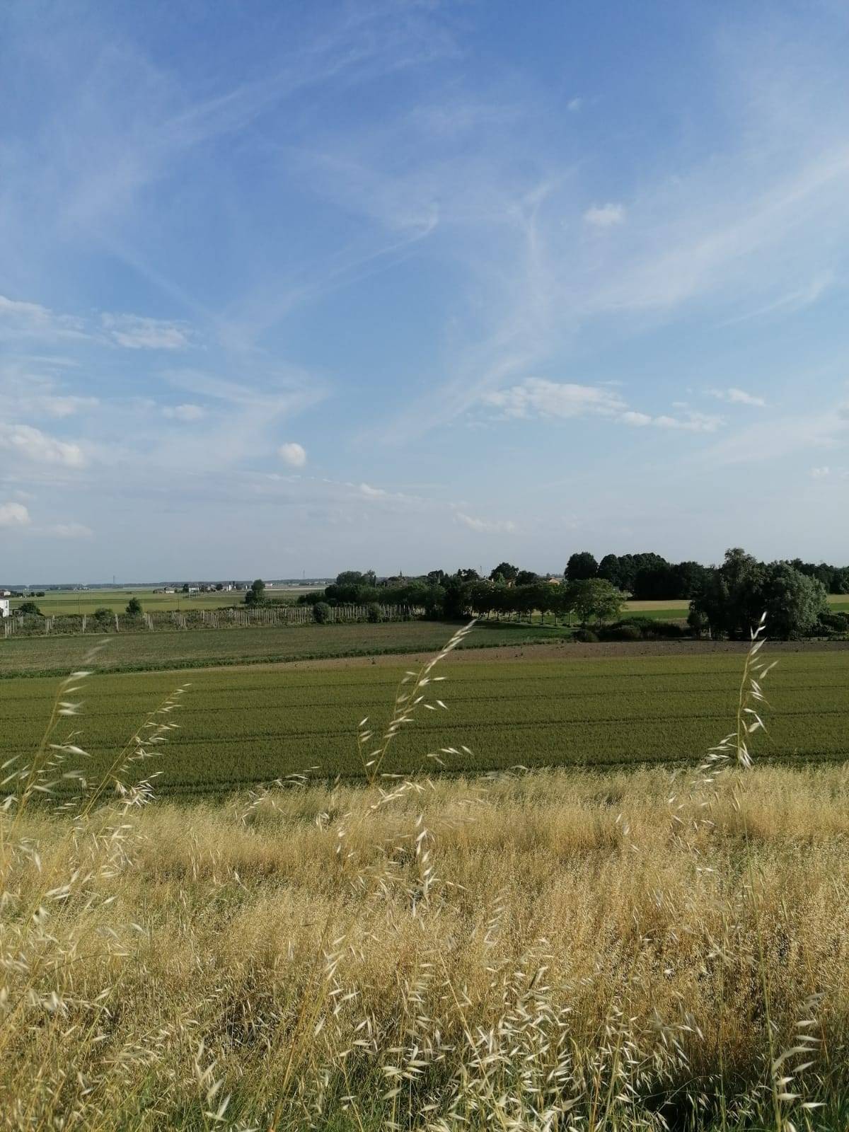 Terreno Agricolo in vendita a Bondeno, Salvatonica