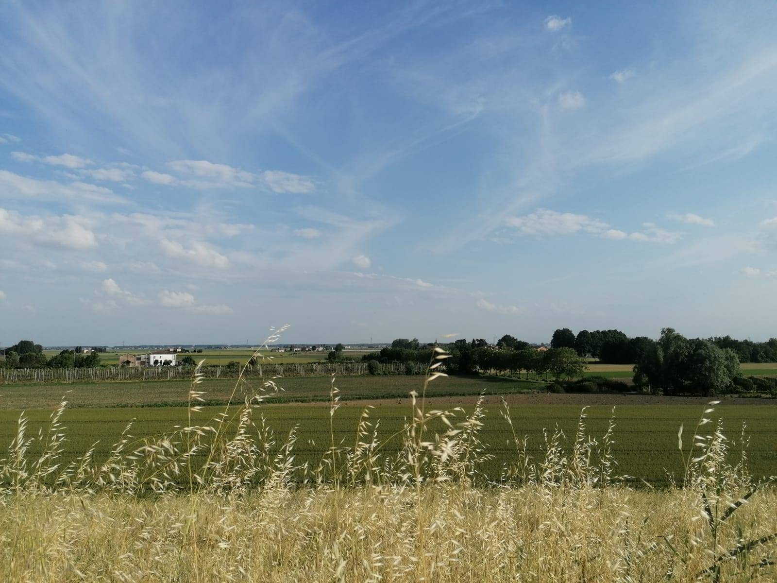 Terreno Agricolo in vendita a Bondeno, Salvatonica