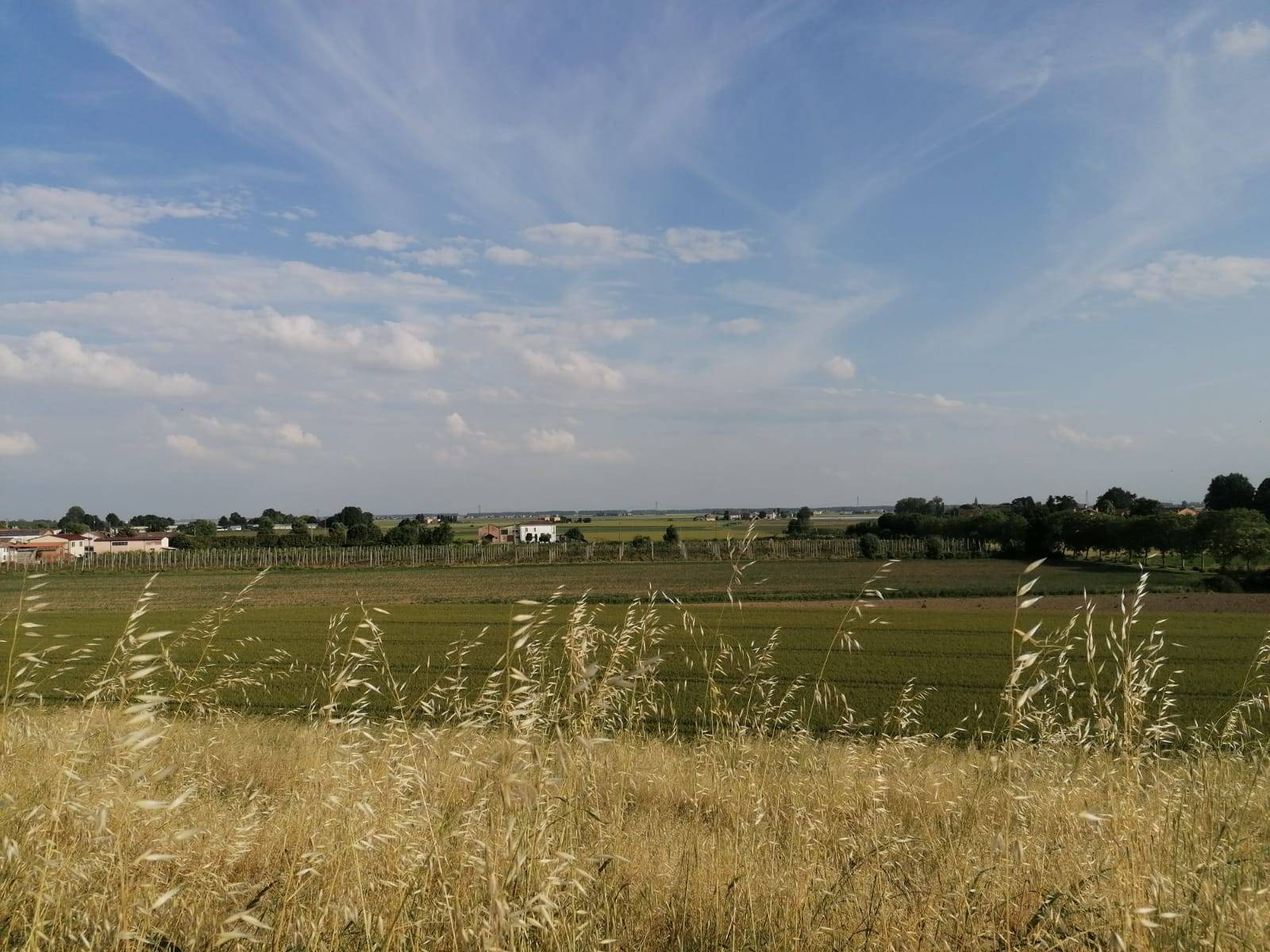 Terreno Agricolo in vendita a Bondeno, Salvatonica