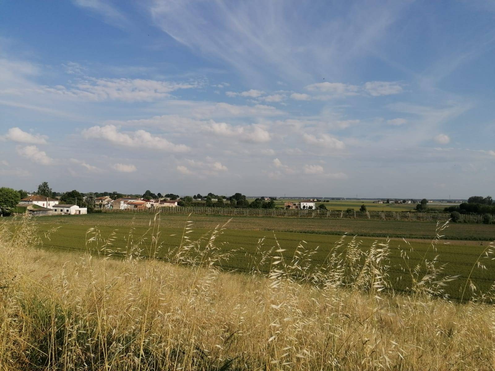 Terreno Agricolo in vendita a Bondeno, Salvatonica