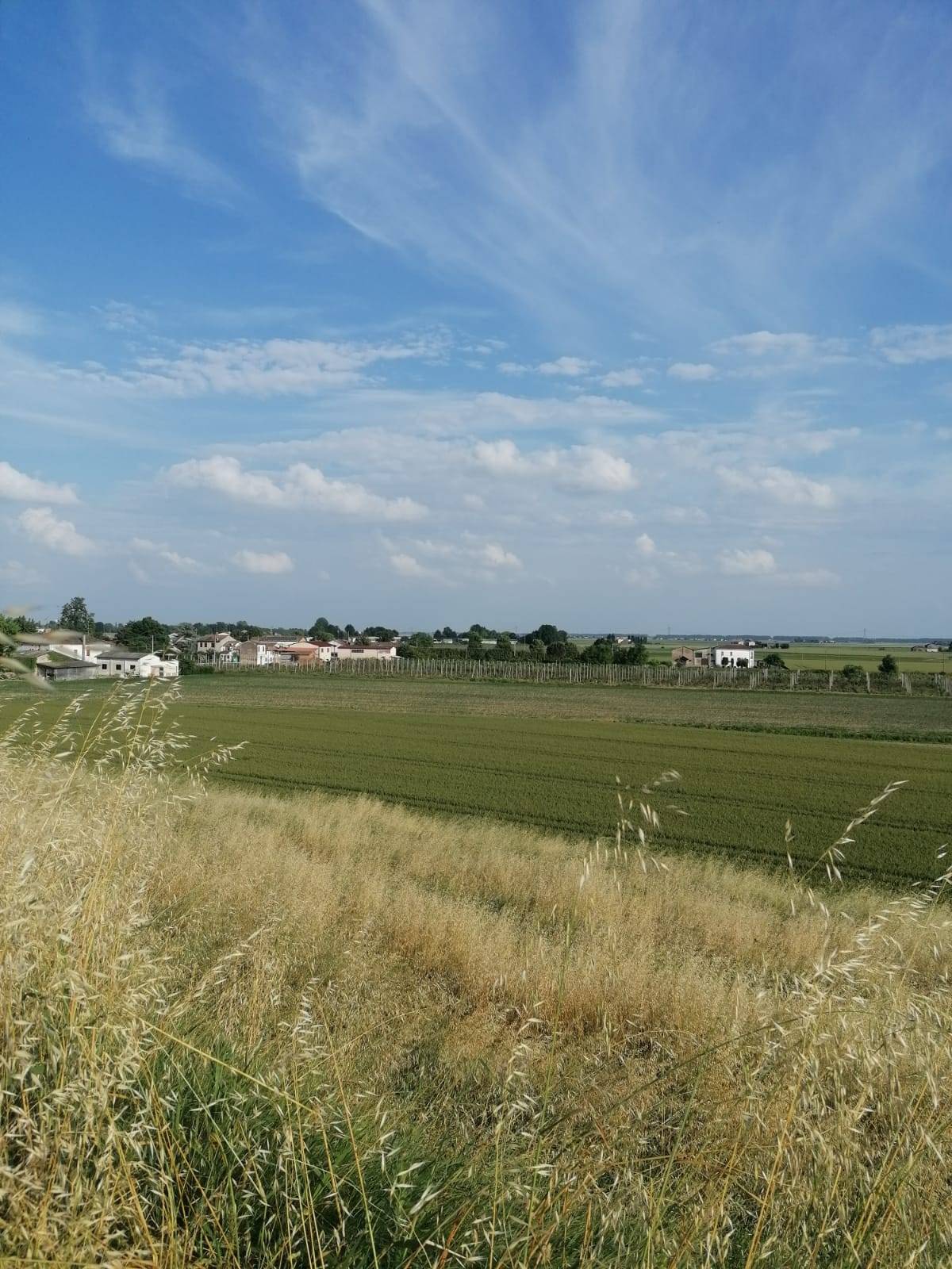 Terreno Agricolo in vendita a Bondeno, Salvatonica