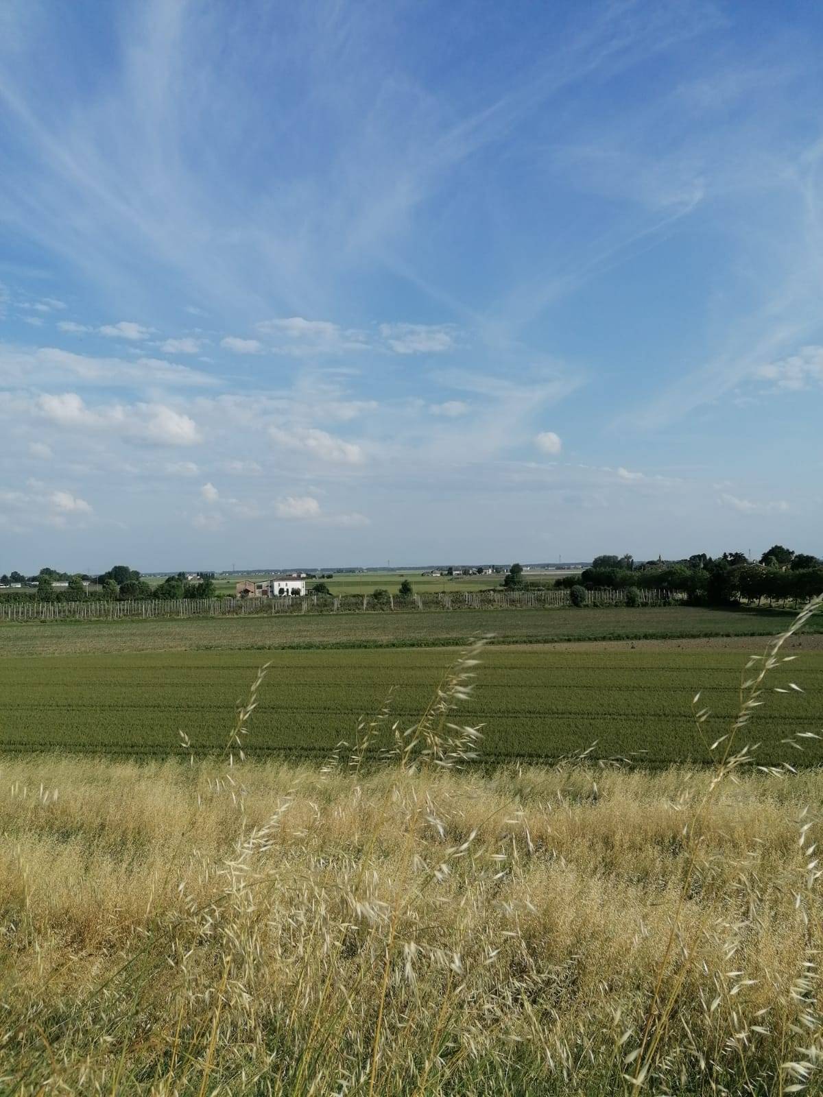 Terreno Agricolo in vendita a Bondeno, Salvatonica