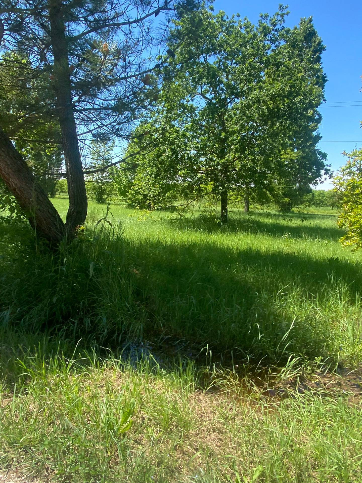Terreno edificabile in vendita a Ferrara, Aguscello