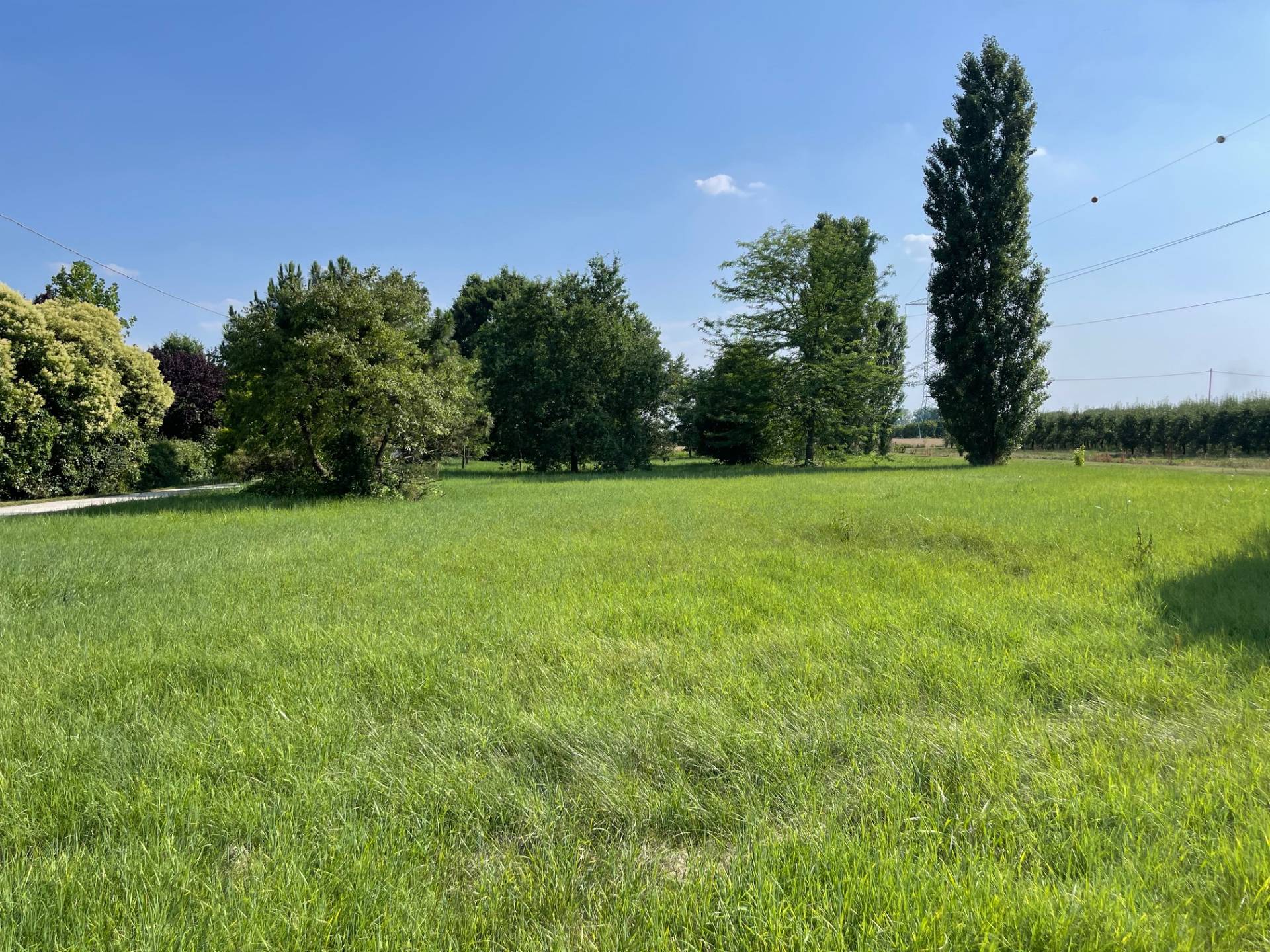 Terreno edificabile in vendita a Ferrara, Aguscello