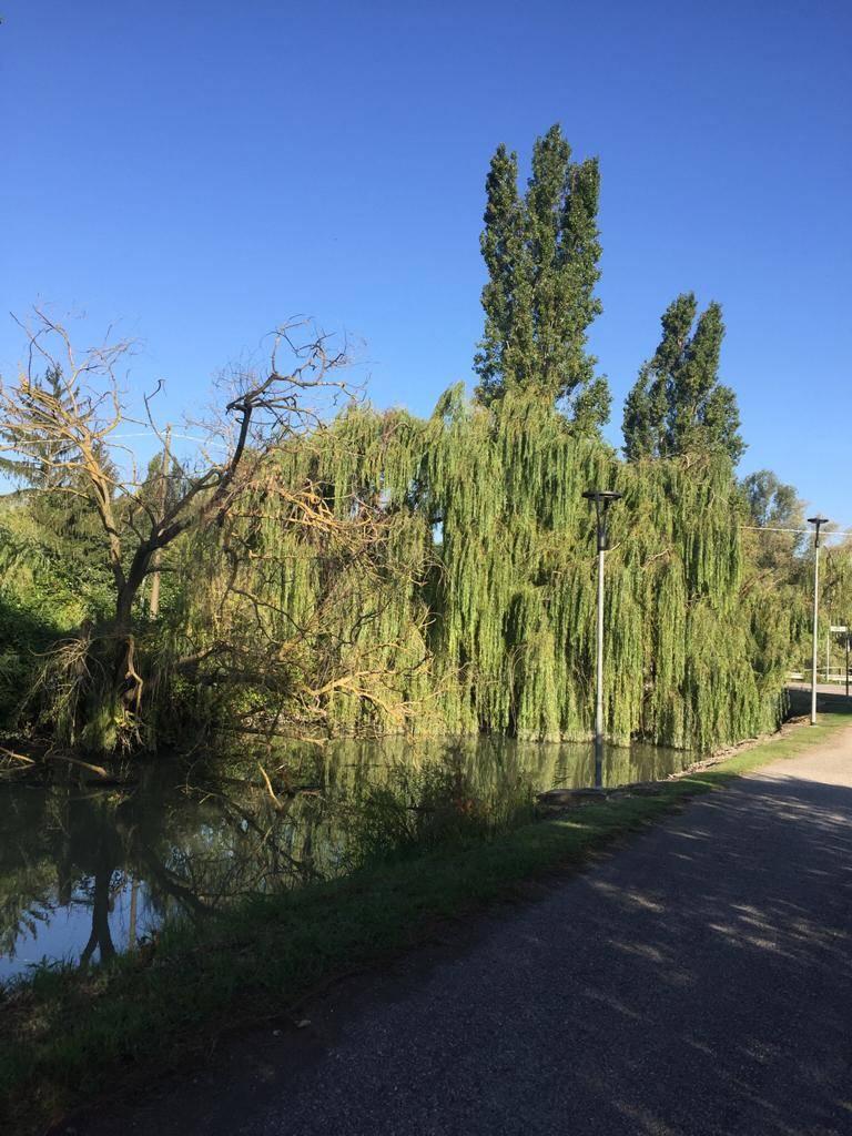 Casa / Villa / Villetta in vendita a Ferrara, Baura