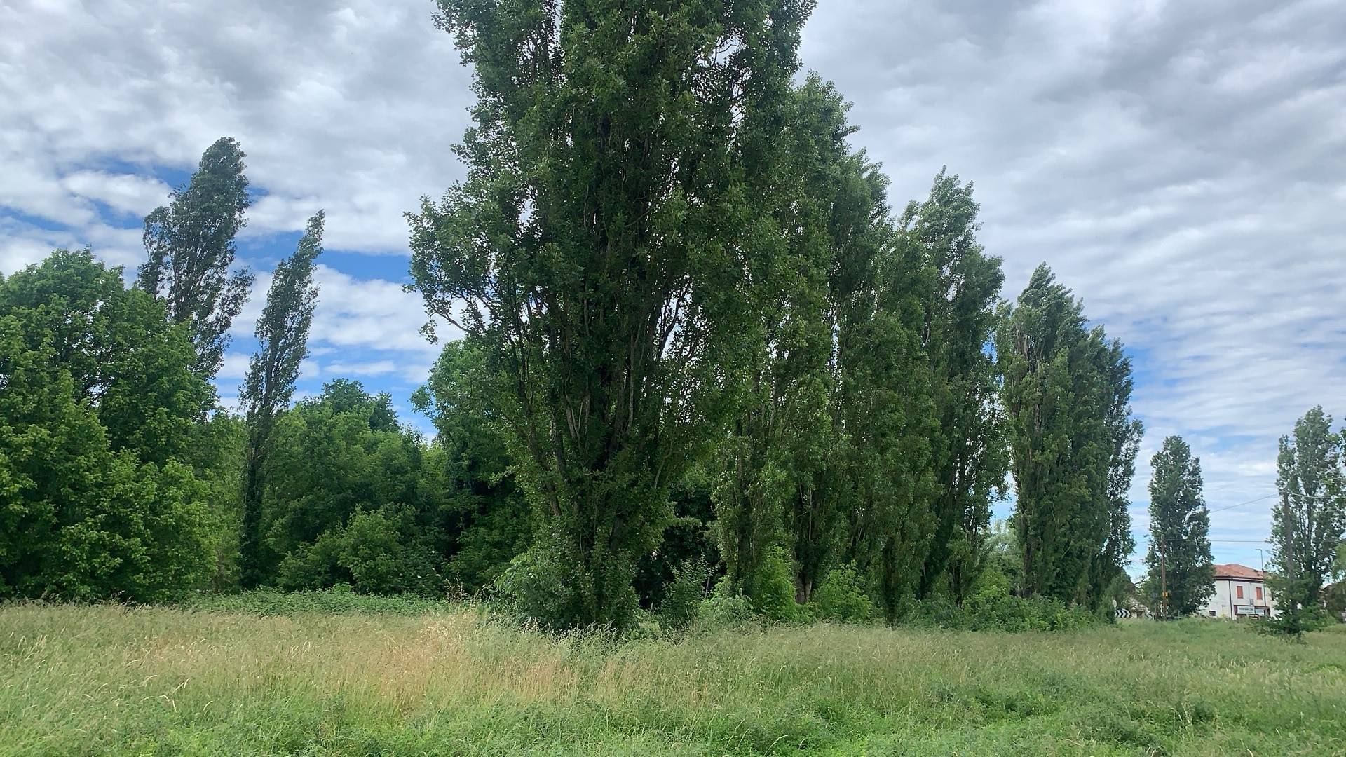 Casa / Villa / Villetta in vendita a Ferrara, Baura