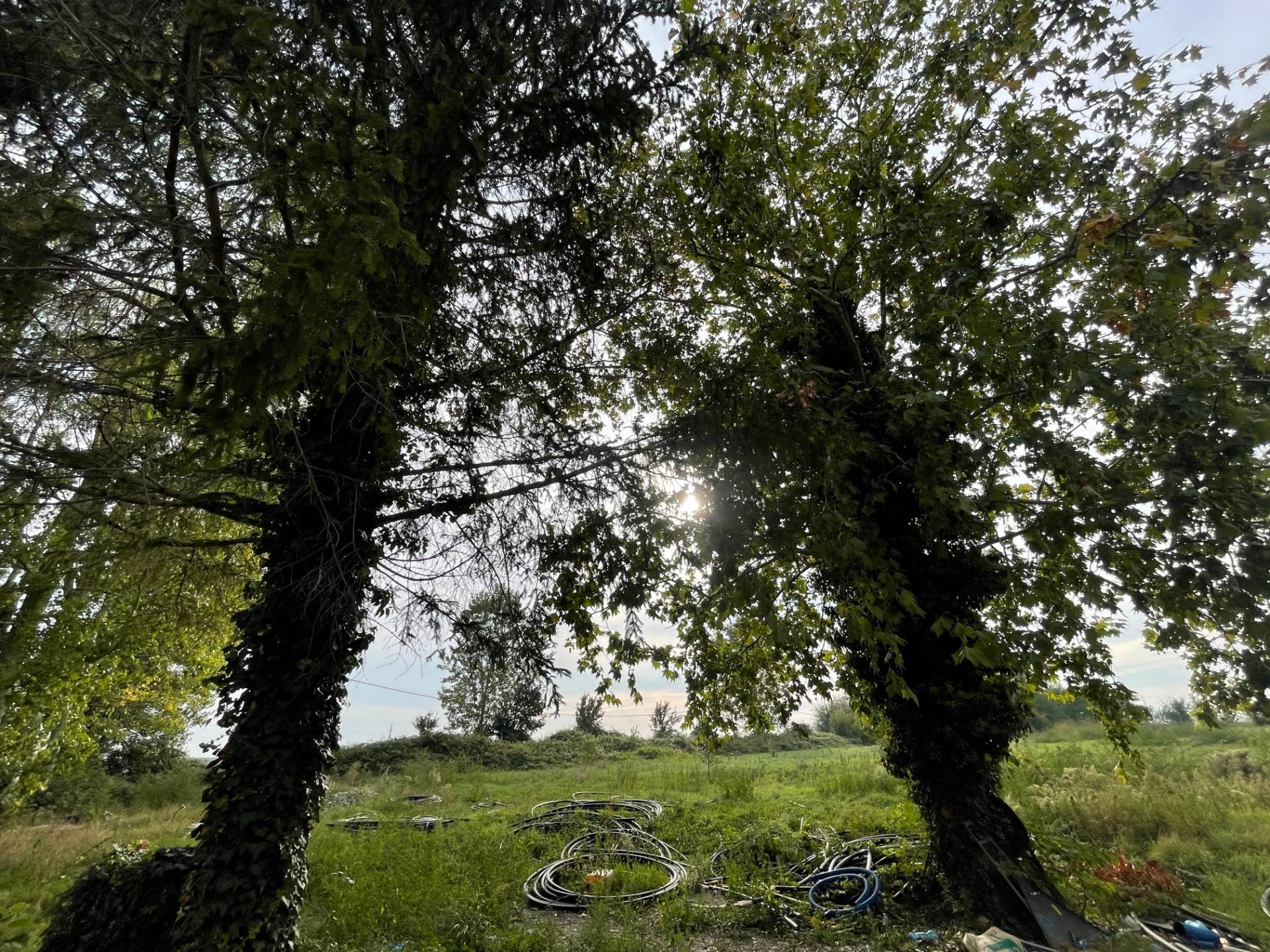 Casa / Villa / Villetta in vendita a Riva del Po