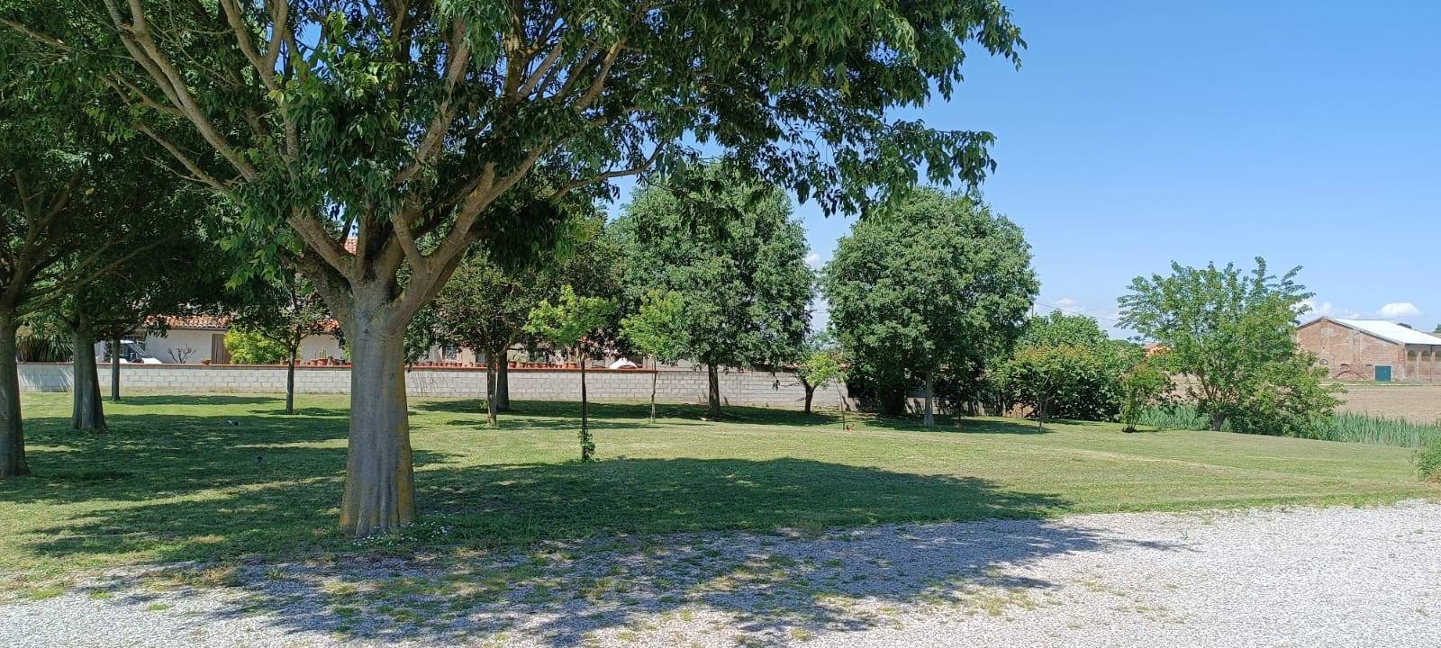 Casa / Villa / Villetta in vendita a Argenta, Consandolo