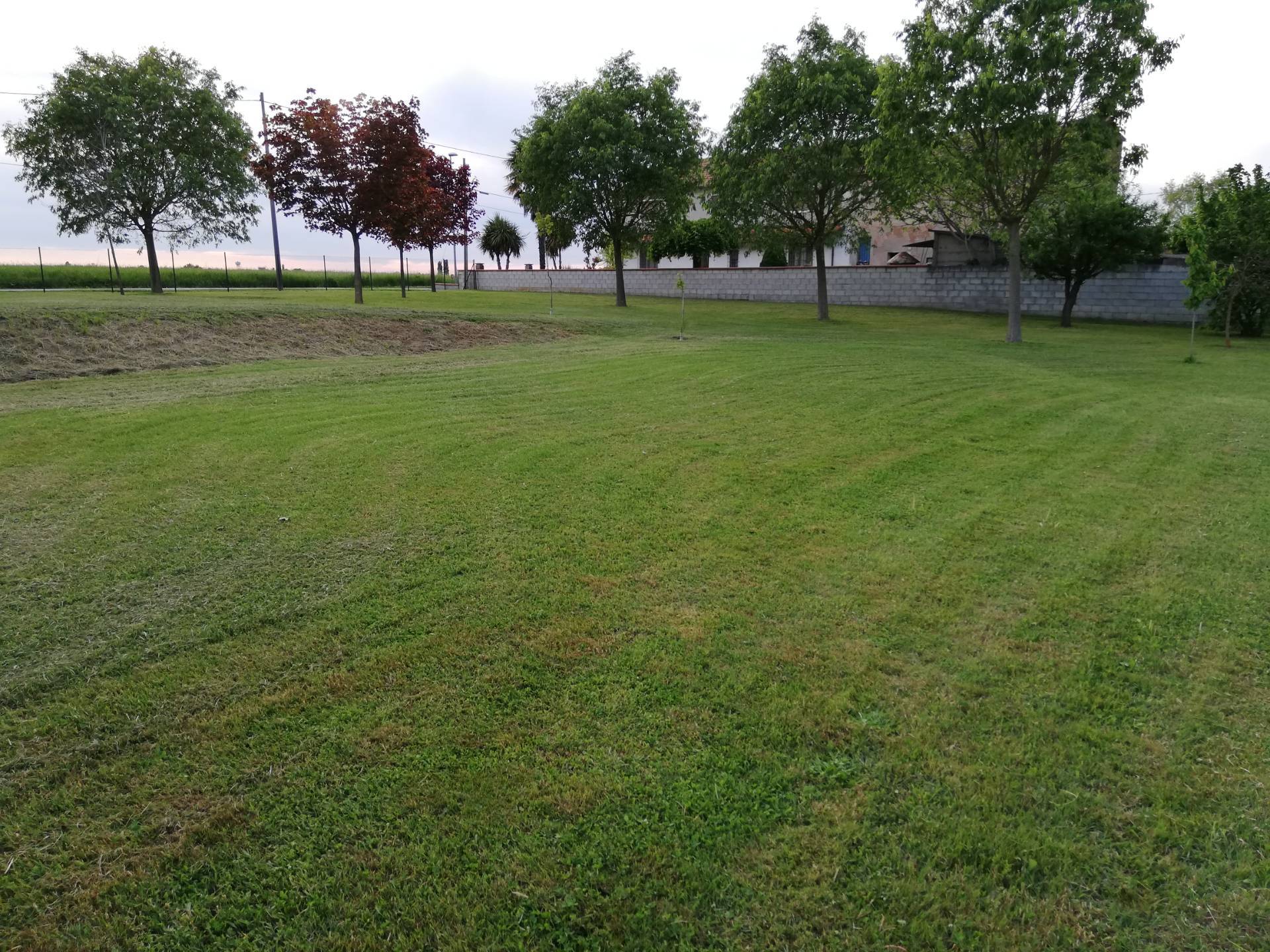 Casa / Villa / Villetta in vendita a Argenta, Consandolo