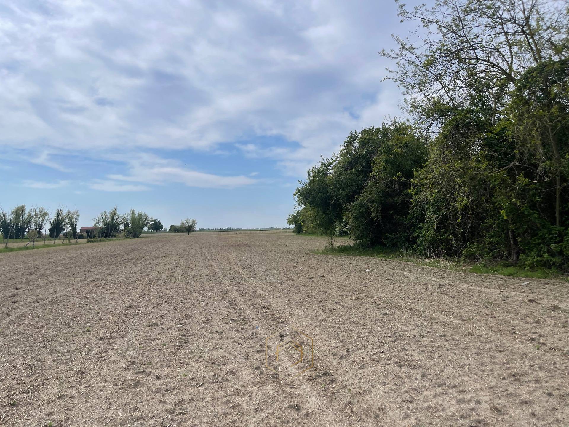 Casa / Villa / Villetta in vendita a Riva del Po