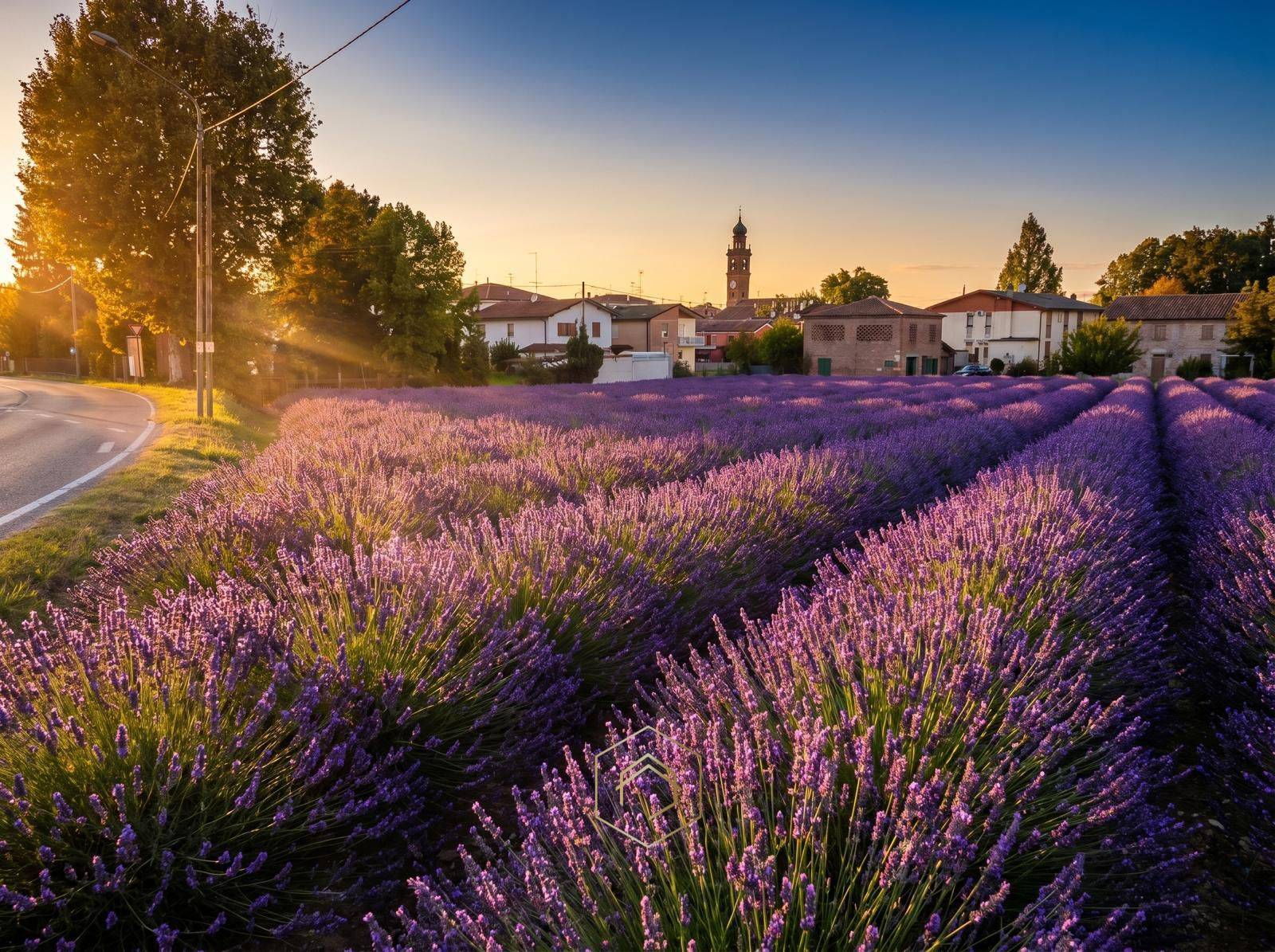 Terreno edificabile in vendita a Vigarano Mainarda