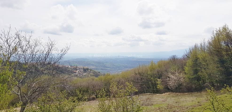 Casa singola in vendita a Villa Celiera, Traino