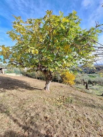 Casa singola in vendita a Penne
