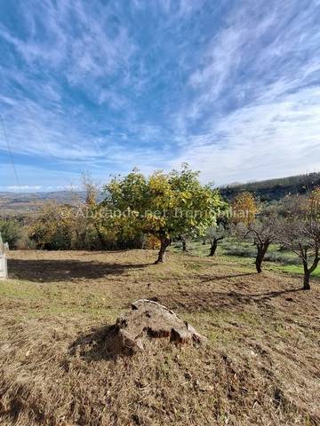 Casa singola in vendita a Penne