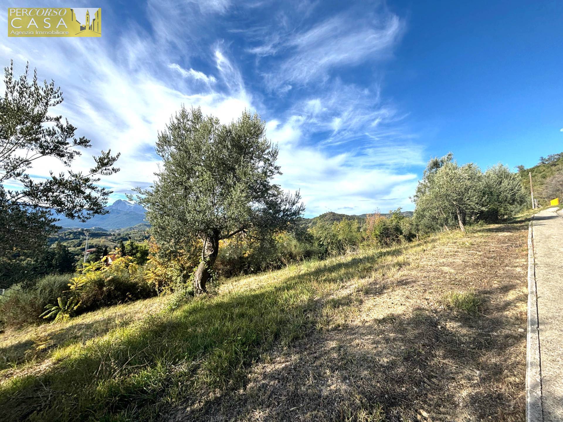 Terreno edificabile in vendita a Torricella Sicura