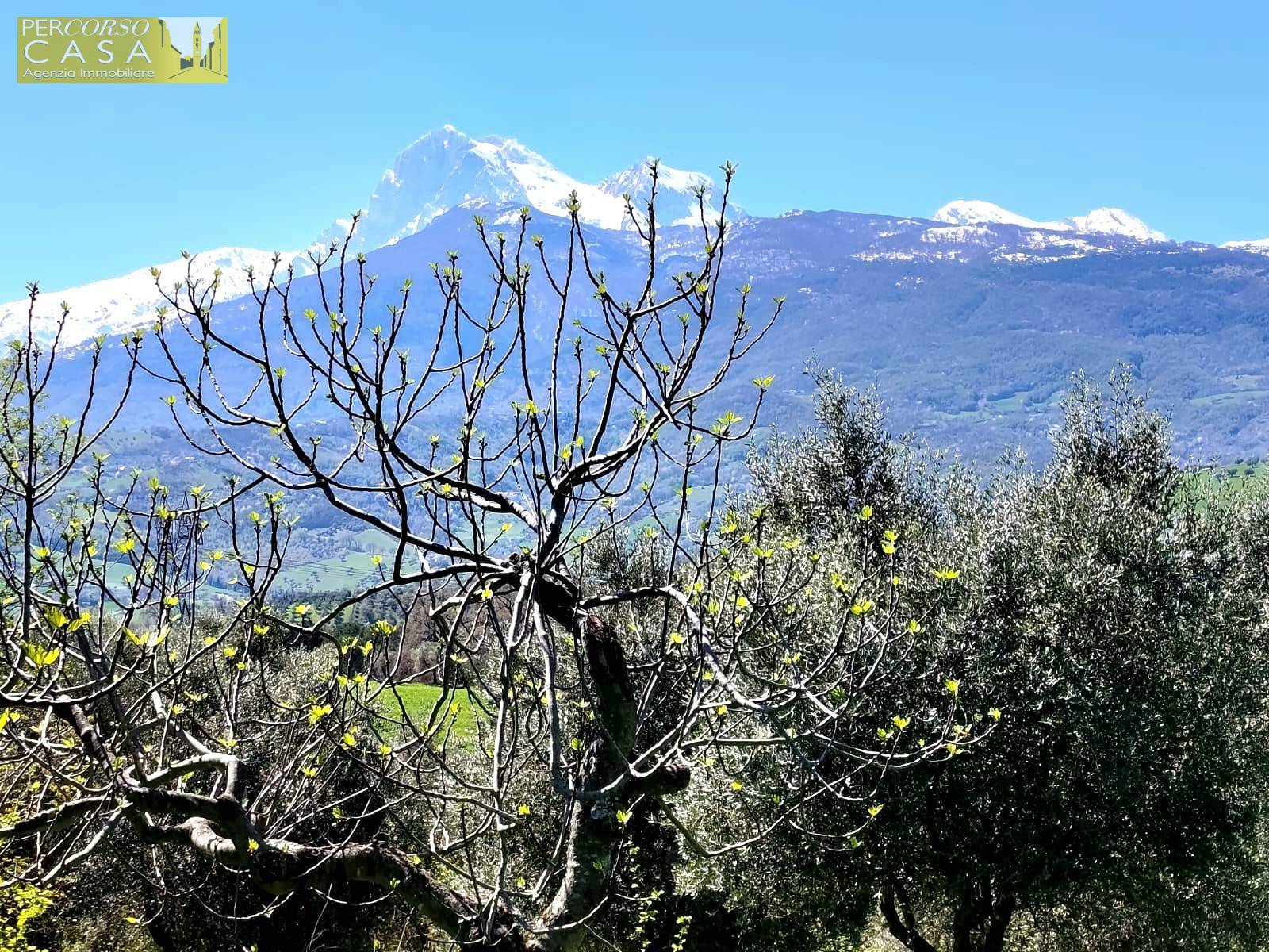Appartamento Indipendente in vendita a Montorio al Vomano