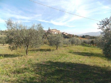 Terreno edificabile in vendita a Spinetoli