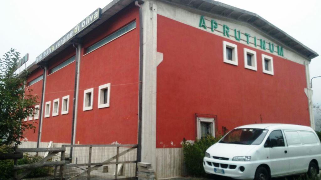 Capannone in affitto a Acquasanta Terme