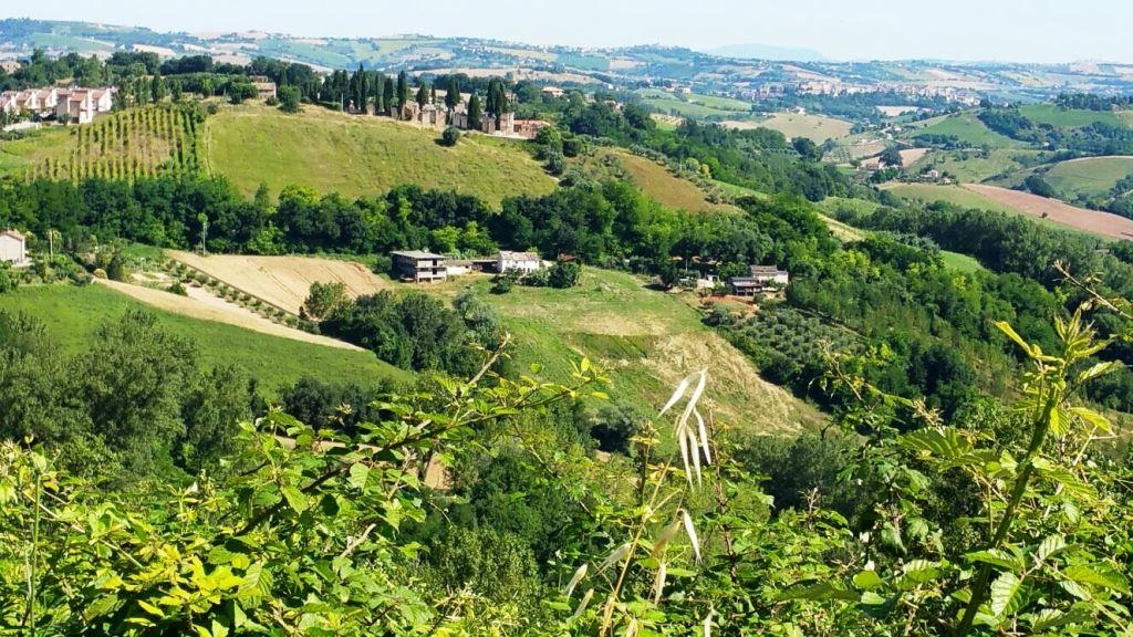 CASA COLONICA in vendita a Montottone