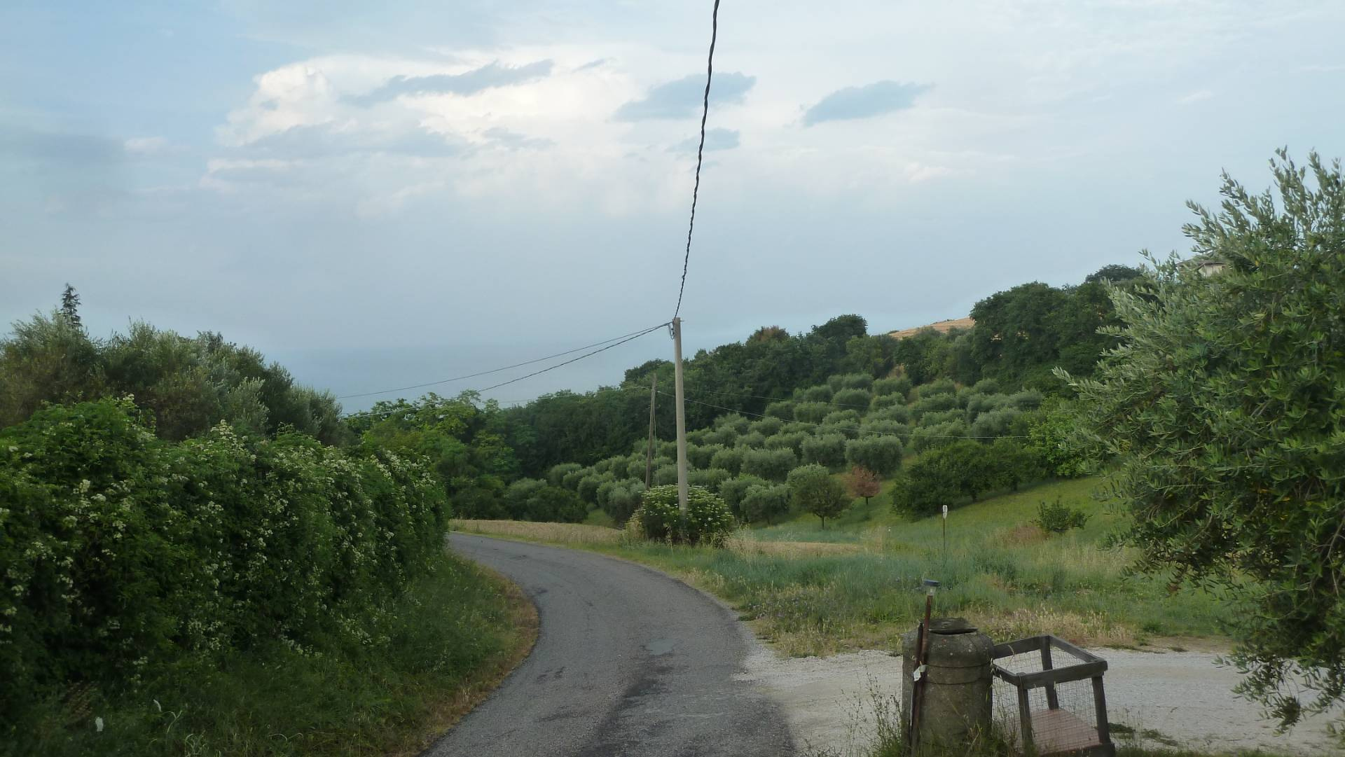 immagine annuncio 6 di 10