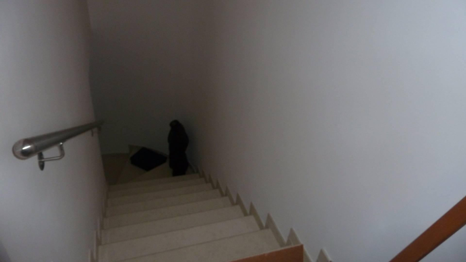 IMMOBILE POLIVALENTE in affitto a San Benedetto del Tronto, Centro