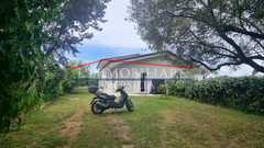 Casa indipendente con giardino, Massa ronchi